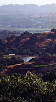 Mara Wines in Alexander Valley
